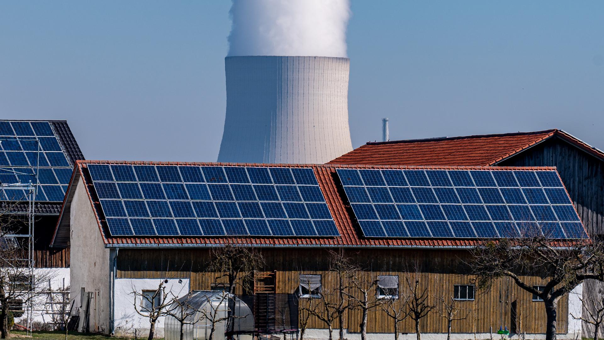 Wasserdampf steigt aus dem Kühlturm des Atomkraftwerks Isar 2. Davor steht ein Stall mit einer Fotovoltaikanlage auf dem Dach.