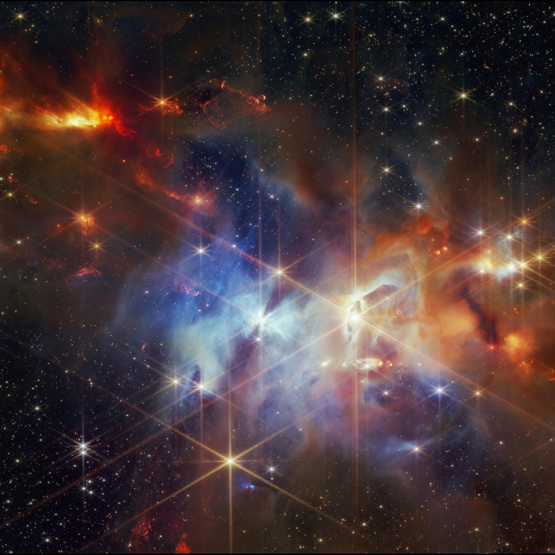 Mit Gas und Staub - Weihnachtssterne in der Schlange