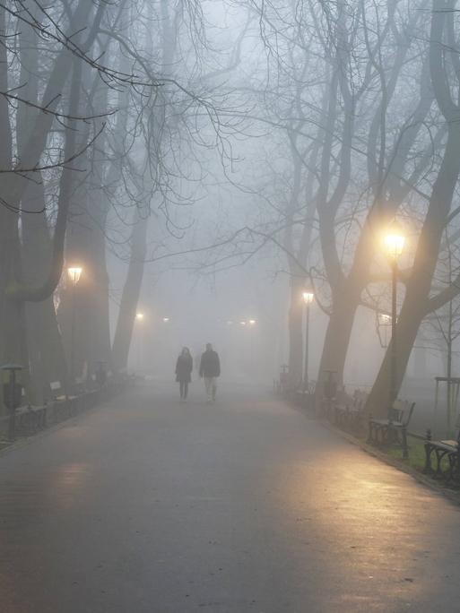 Winter: Dunkler, nebliger Weg im Park-