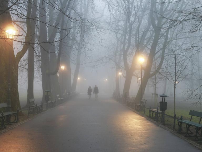 Winter: Dunkler, nebliger Weg im Park-
