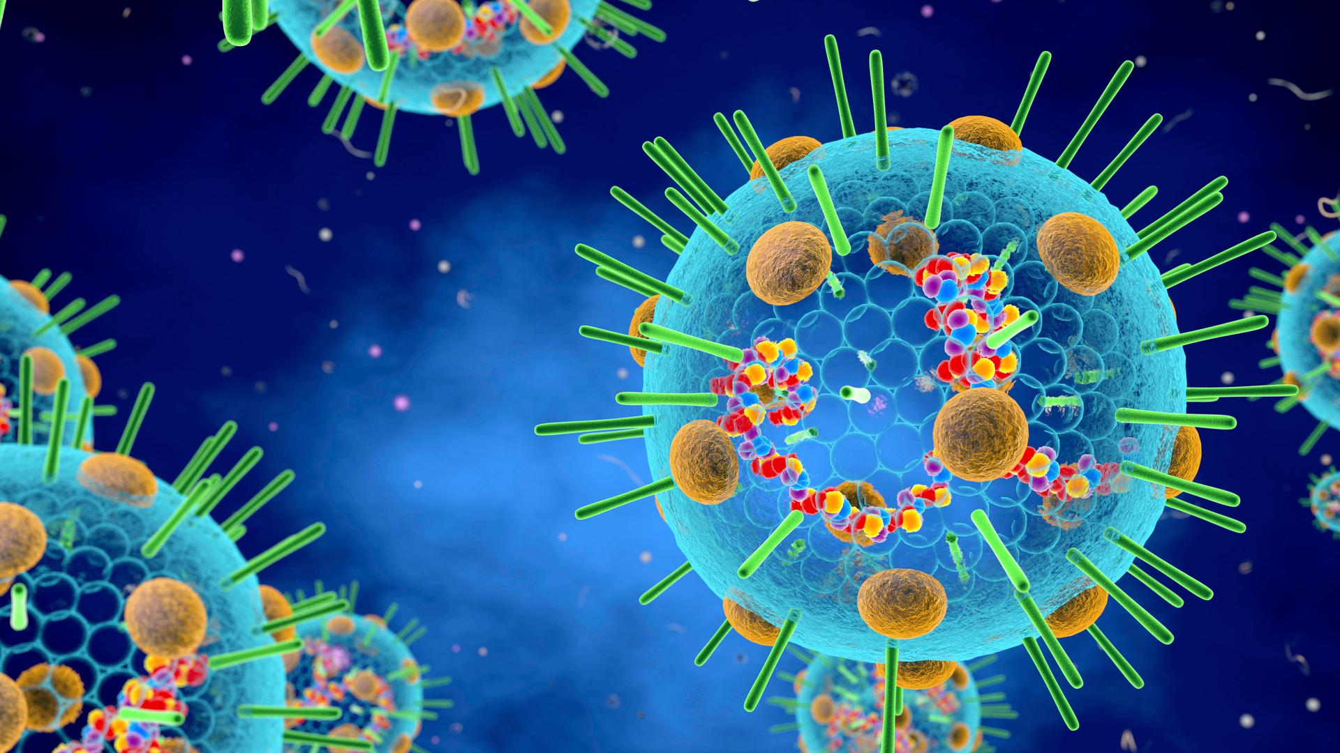 Darstellung eines Myxovirus, ein zur Gruppe der Influenza-Viren gehörender RNA-Virus Darstellung eines Myxovirus, ein zur Gruppe der Influenza-Viren gehörender RNA-Virus