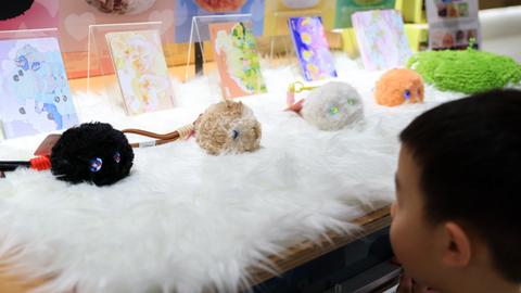Ein chinesisches Kind schaut auf mehrere KI-Spielzeuge der Marke „Fuzozo“. Das sind kleine, plüschige KI-Begatl-Roboter, die zu sprachbasierter Interaktion fähig sind und mit Berührungssensoren ausgestattet. 