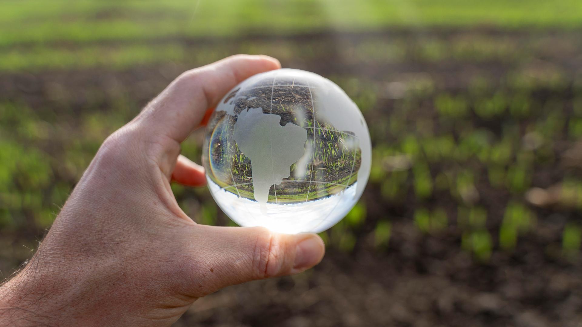 Eine Hand hält eine kleine Erdkugel aus Glas vor einem Feld mit jungen Sätzlingen.