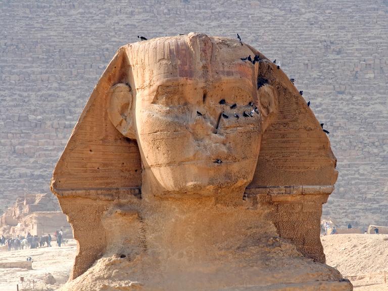 Blick auf die Ruine der Großen Sphinx nahe Kairo, der eine Nase fehlt und deren Augenpartien man gerade noch erkennen kann. Vögel habe sich auf ihr niedergelassen.