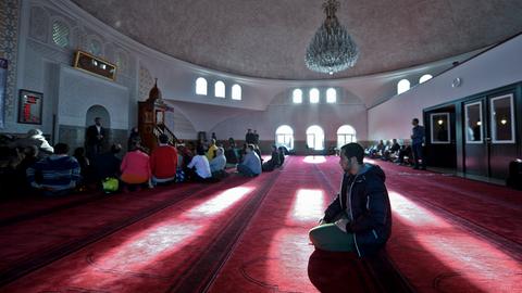 Besucher des Islamischen Zentrums Wien an einem "Tag der offenen Moschee" in Wien. 