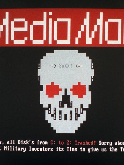 Screenshot von besagtem Computervirus: Ein grob gepixelter Totenkopf mit dem Schriftzug „SuXX!“ auf der Stirn. Darunter die Drohung auf Englisch, dass nun alle Laufwerke gelöscht werden.