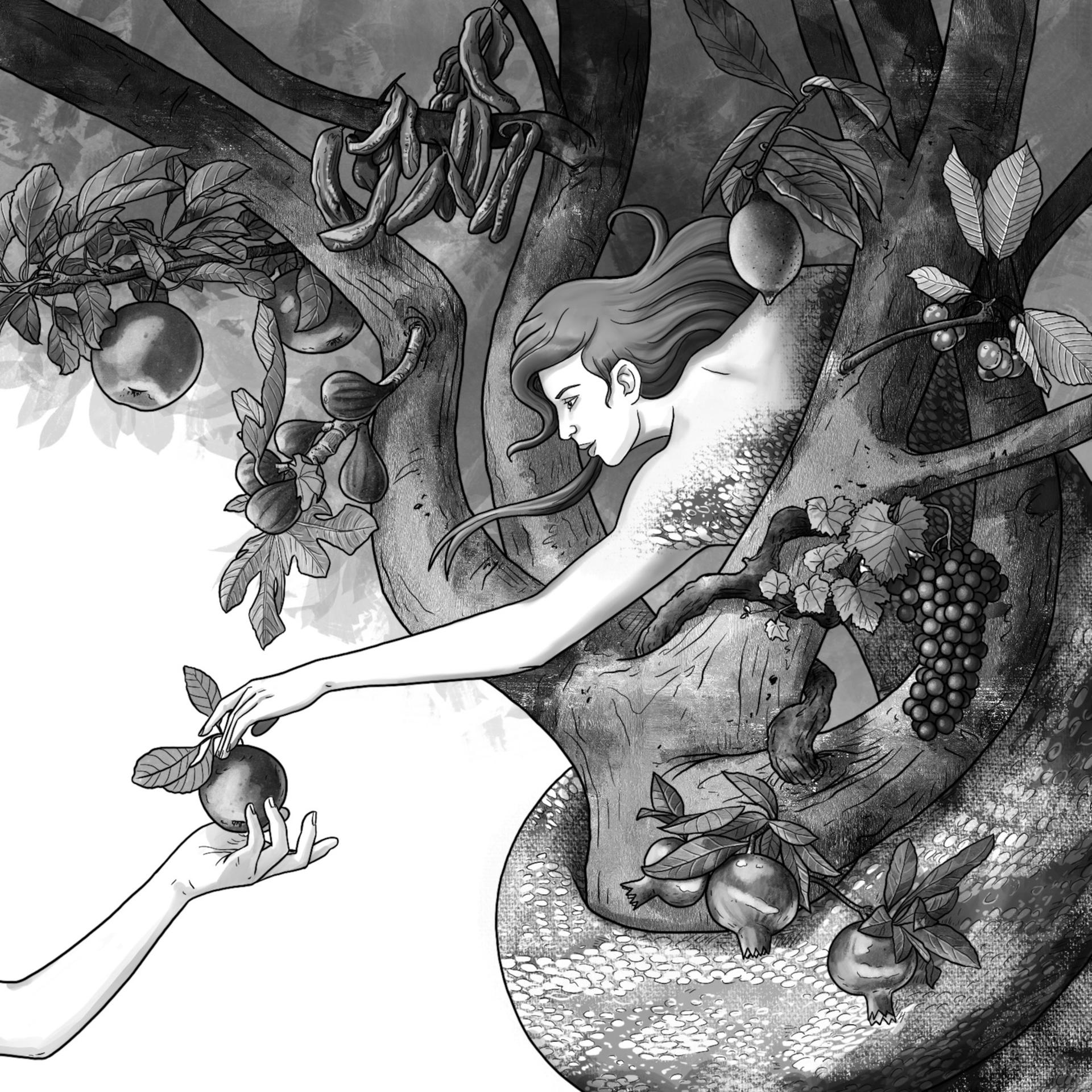 Illustration (Zeichnung): Eine Frauengestalt mit dem Unterleib einer Schlange greift aus einer Baumkrone nach einem Apfel, der ihr gereicht wird.