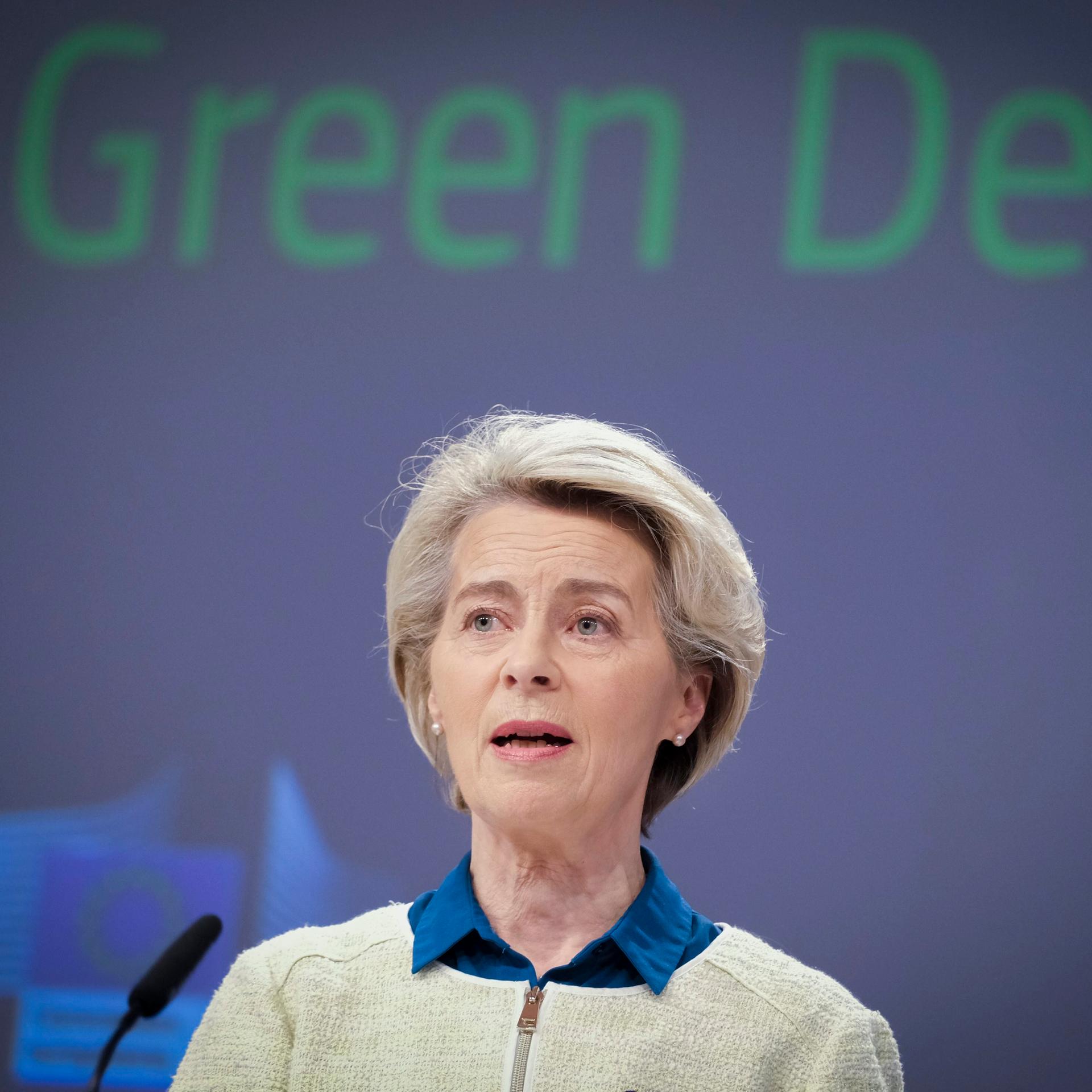 EU-Kommission - Klimaexperte befürchtet Rollback beim Green Deal