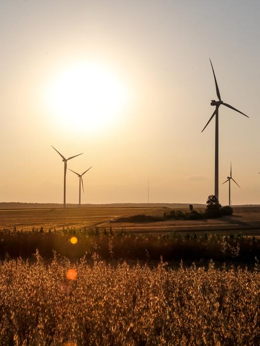 Windkraftanlagen stehen auf einem Feld. 