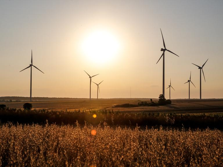 Windkraftanlagen stehen auf einem Feld. 