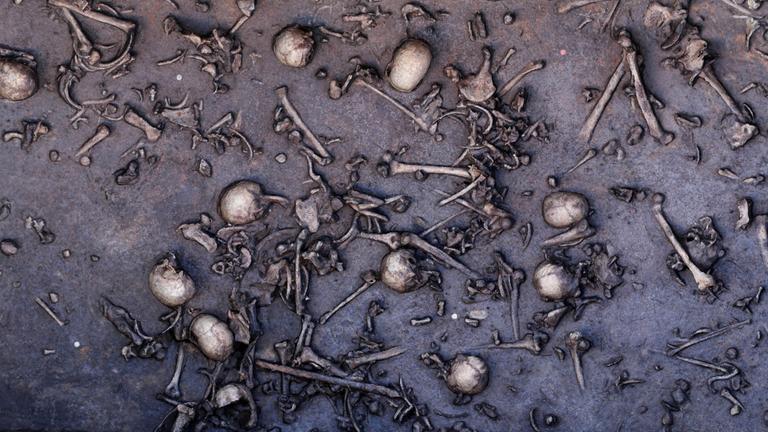 Archäologische Funde aus der Bronzezeit Das Rätsel um die Schlacht im