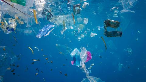 Plastikmüll in verschiedenen Formen und Farben treibt zwischen jungen Riffbarschen im Meer.