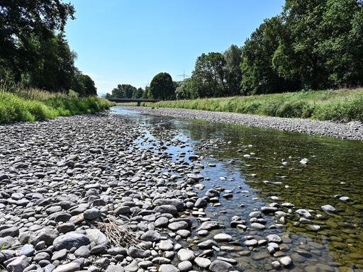 Nur noch ein Rinnsal ist die Dreisam in der March nahe Freiburg im Juli 2026.