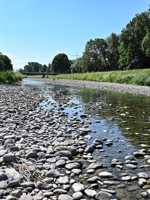 Nur noch ein Rinnsal ist die Dreisam in der March nahe Freiburg im Juli 2026.