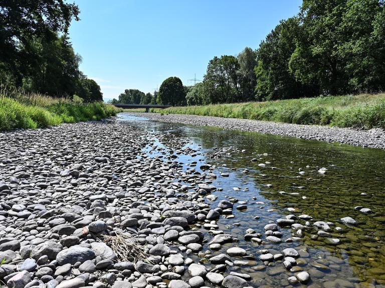 Nur noch ein Rinnsal ist die Dreisam in der March nahe Freiburg im Juli 2026.