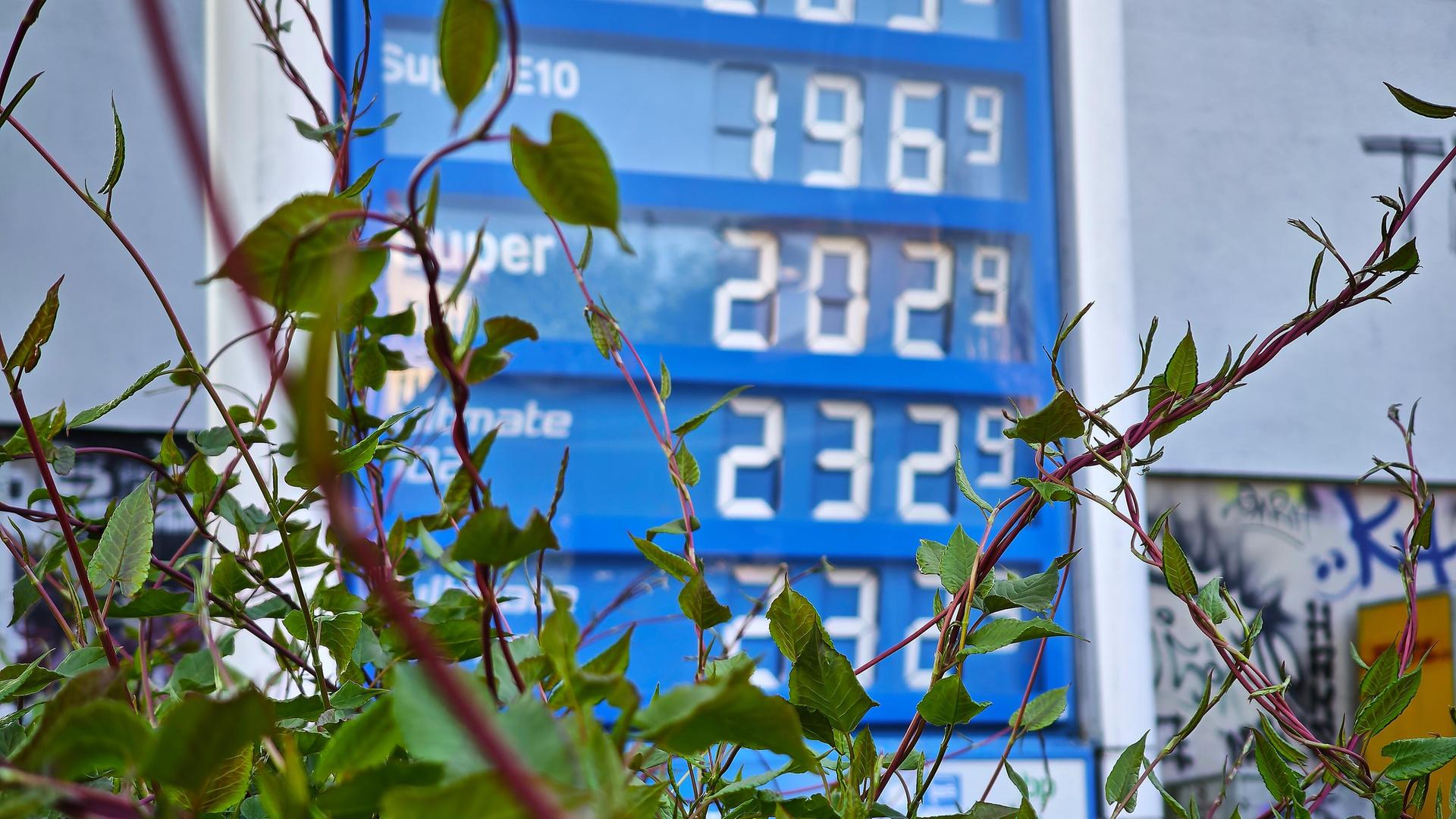 Berlin, Deutschland: Preistafel an einer Aral-Tankstelle am Morgen des 1. Mai nach Wirksamen des sogenannten Tankrabatt
