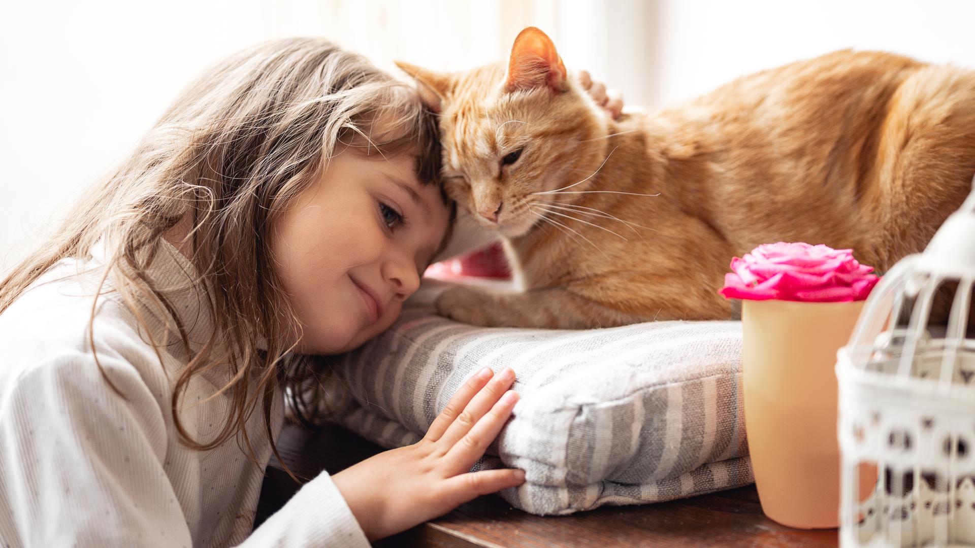 Ein Mädchen kuschelt mit einer Katze