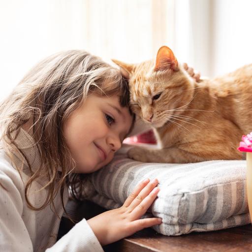 Ein Mädchen kuschelt mit einer Katze