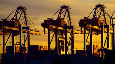 Zu sehen sind Containerbrücken vom Hamburger Hafen im Sonnenuntergang.