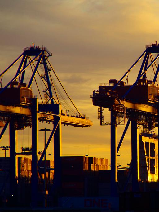Zu sehen sind Containerbrücken vom Hamburger Hafen im Sonnenuntergang.