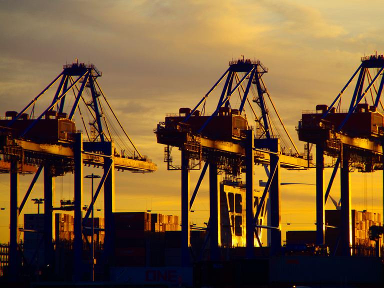 Zu sehen sind Containerbrücken vom Hamburger Hafen im Sonnenuntergang.