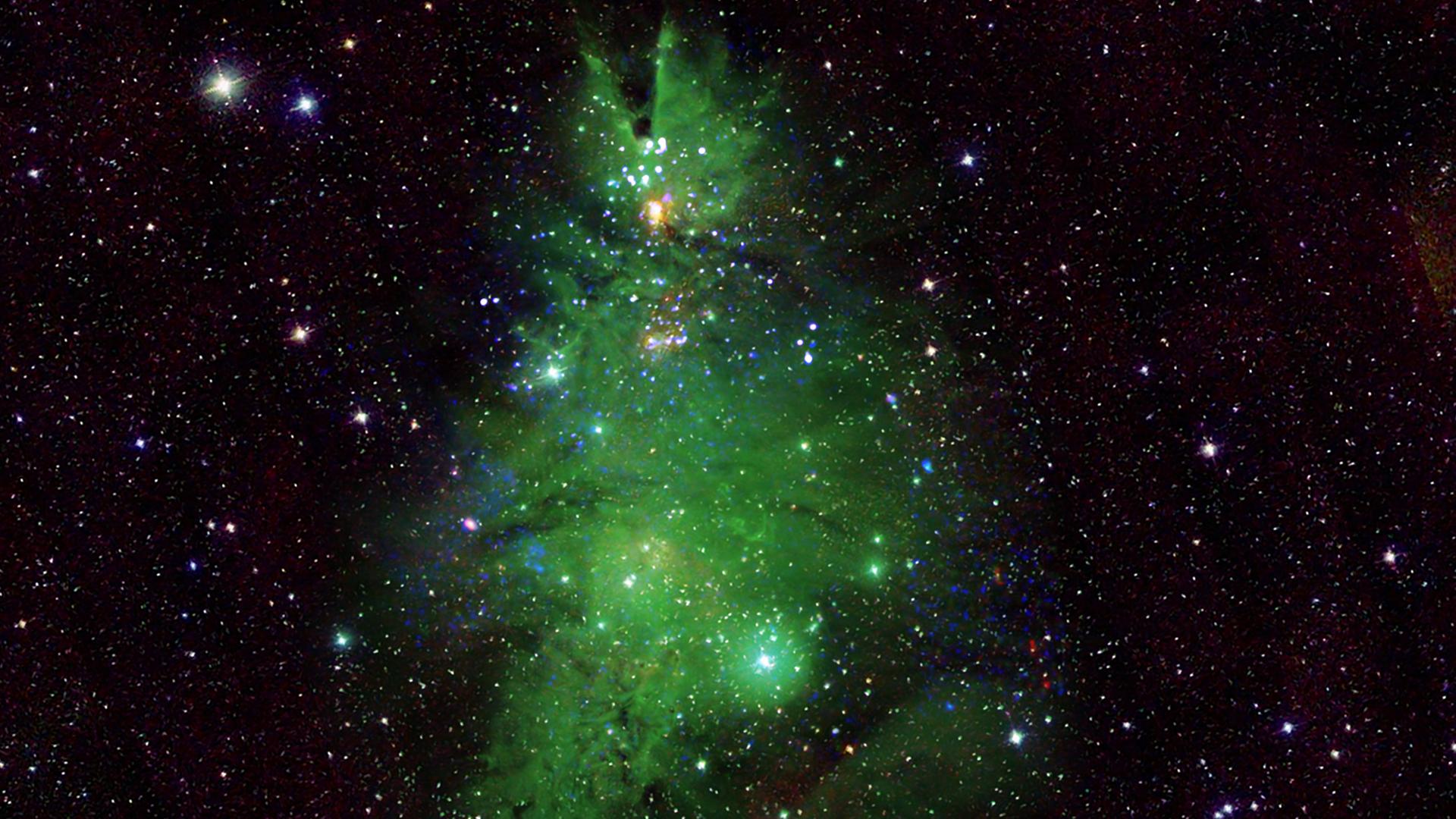 Aufnahmen im Optischen, Infraroten und im Röntgenbereich ergeben - geschickt eingefärbt - einen prachtvollen Weihnachtsbaum, der zum Sternhaufen NGC 2264 gehört.