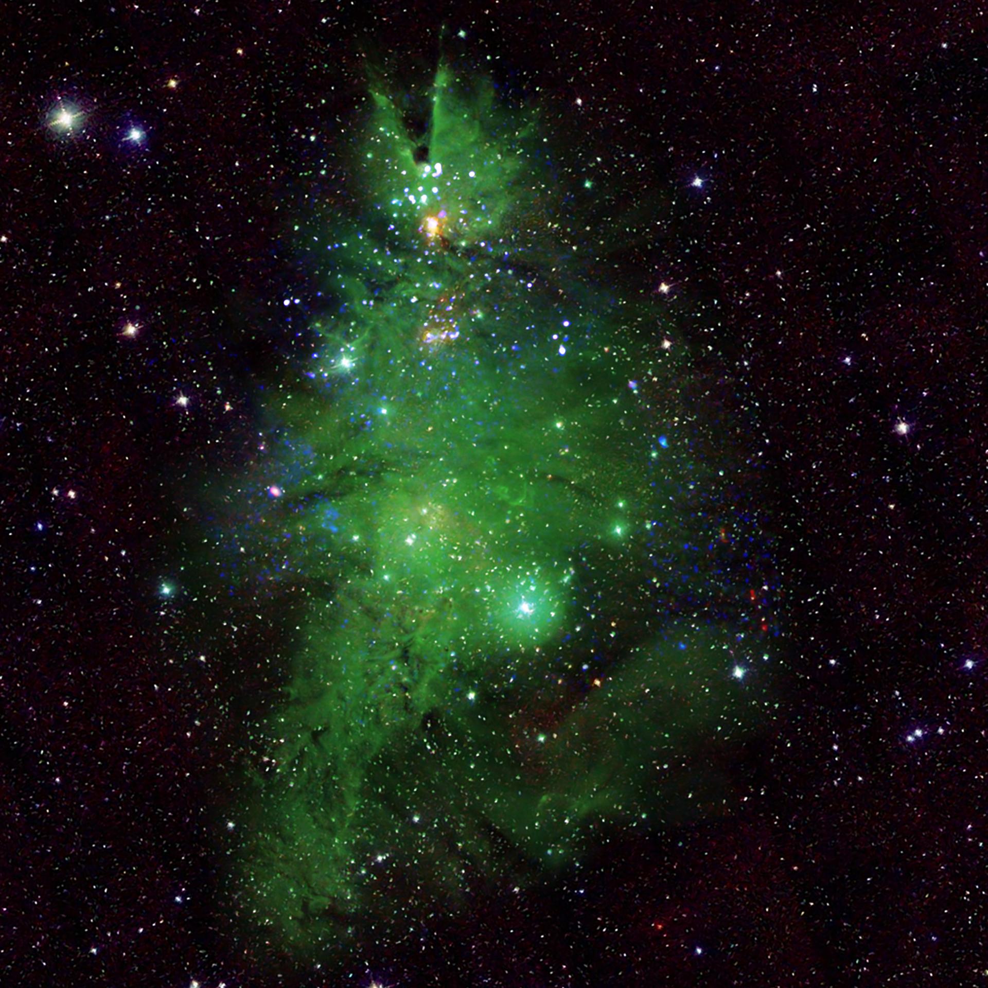 Festlicher Nebel - Leuchtende Kugeln im Weihnachtsbaumhaufen