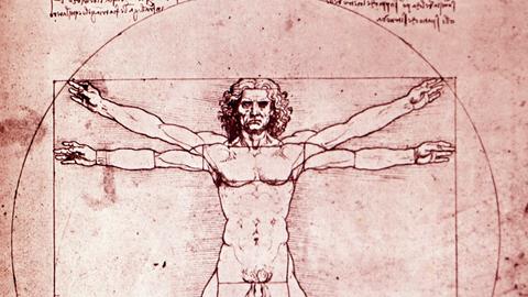 Zeichnung: Der vitruvianische Mensch von Leonardo da Vinci.