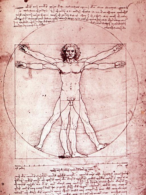 Zeichnung: Der vitruvianische Mensch von Leonardo da Vinci.