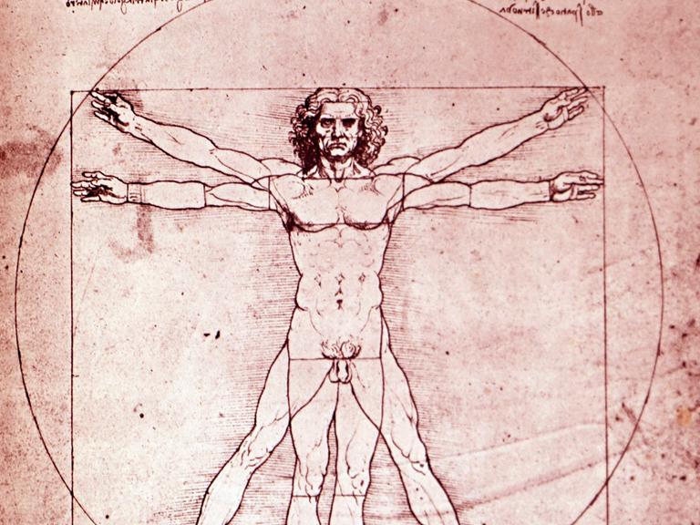 Zeichnung: Der vitruvianische Mensch von Leonardo da Vinci.