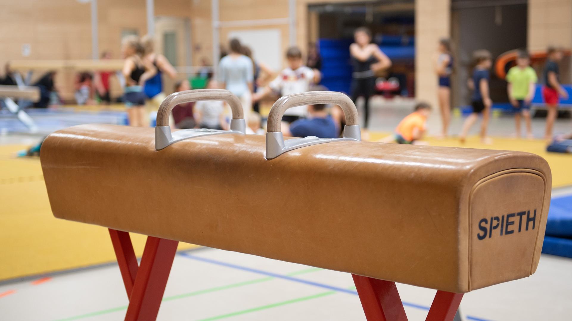 Ein Pauschenpferd steht während des Sportunterrichts in der Sporthalle einer Grundschule. Ein Pauschenpferd steht während des Sportunterrichts in der Sporthalle einer Grundschule.