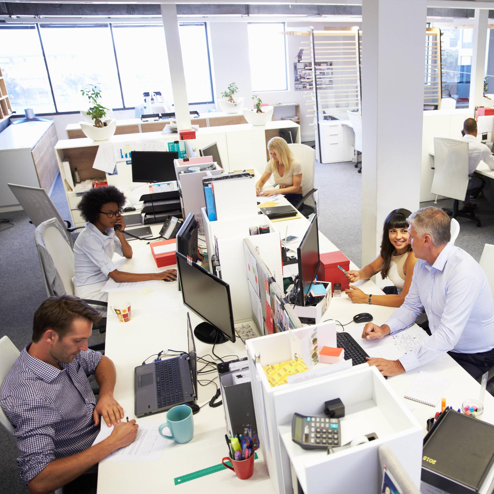 Politologin - Rassismus am Arbeitsplatz sofort sanktionieren