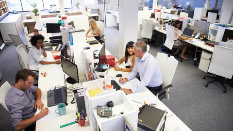 Menschen sitzen an ihren Arbeitsplätzen in einem Großraumbüro.