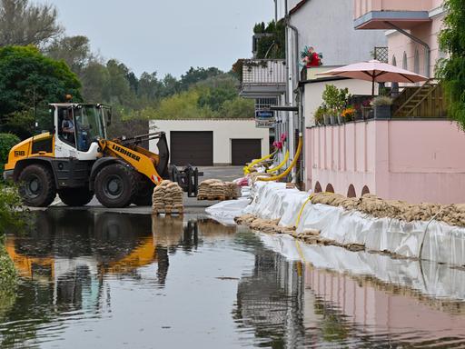 Sandsäcke sollen Häuser vor dem Hochwasser der Oder schützen.