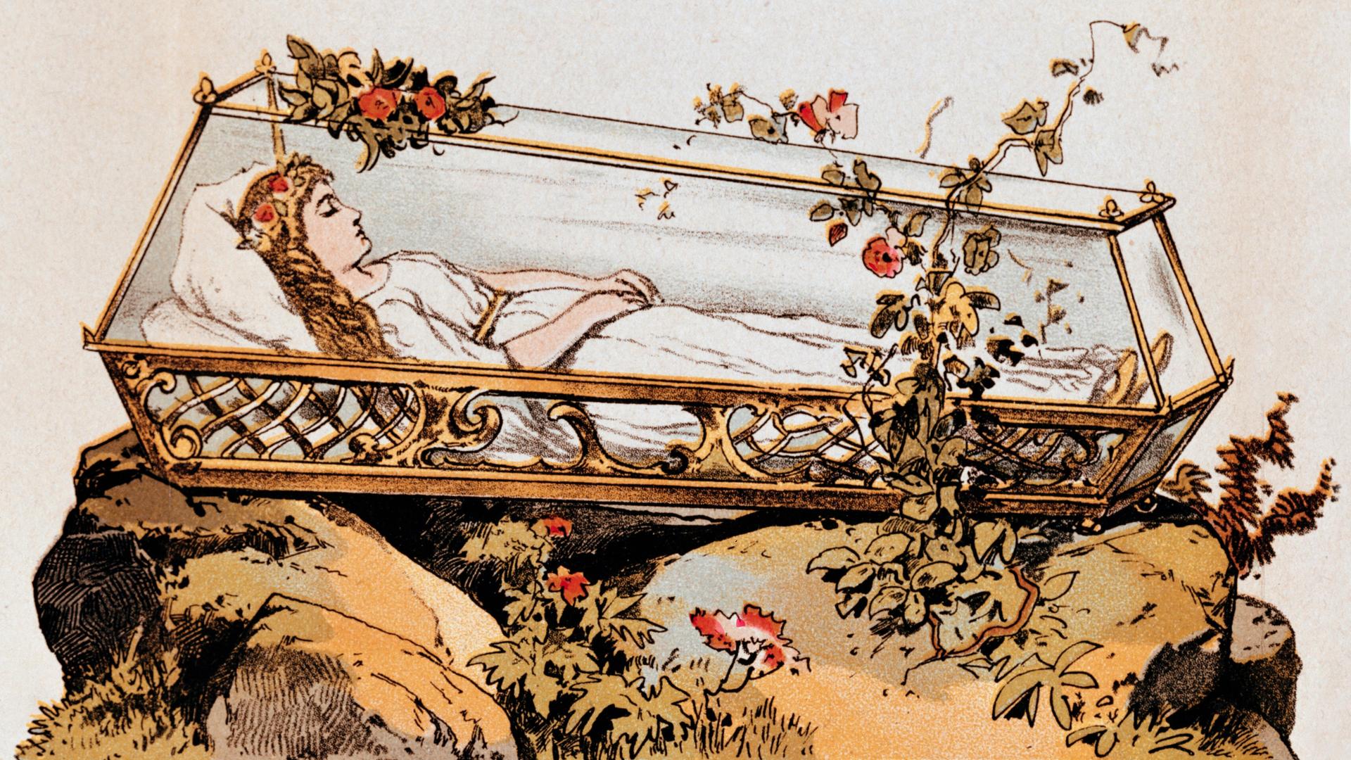 Ein Bild des Märchens Schneewittchen der Gebrüder Grimm zeigt Schneewittchen im gläsernen Sarg auf einem Felsen, um den Sarg wachsen Rosen. (Ausschneidebogen für Kindertheater um 1870) Ein Bild des Märchens Schneewittchen der Gebrüder Grimm zeigt Schneewittchen im gläsernen Sarg auf einem Felsen, um den Sarg wachsen Rosen. (Ausschneidebogen für Kindertheater um 1870)