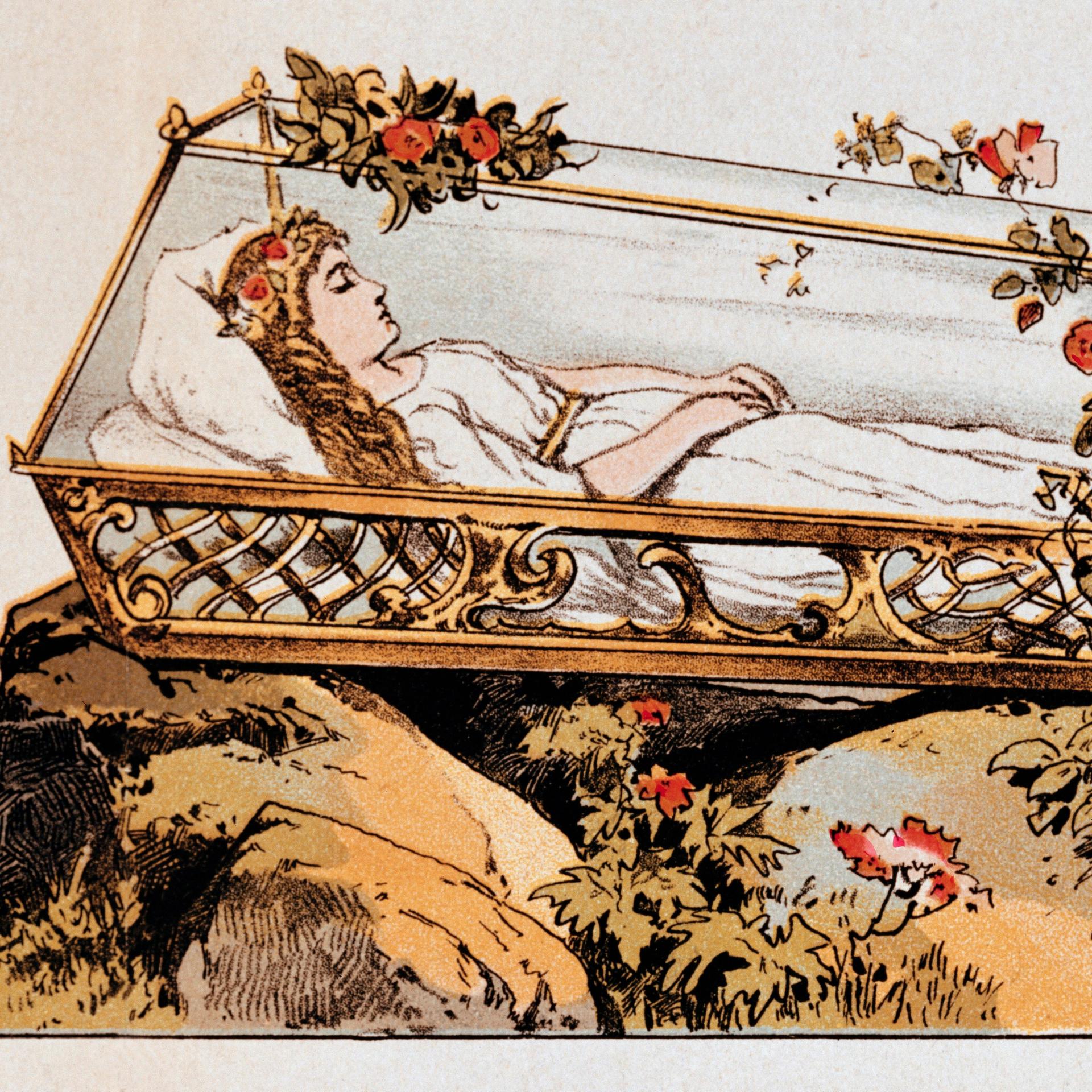 Ein Bild des Märchens Schneewittchen der Gebrüder Grimm zeigt Schneewittchen im gläsernen Sarg auf einem Felsen, um den Sarg wachsen Rosen. (Ausschneidebogen für Kindertheater um 1870)
