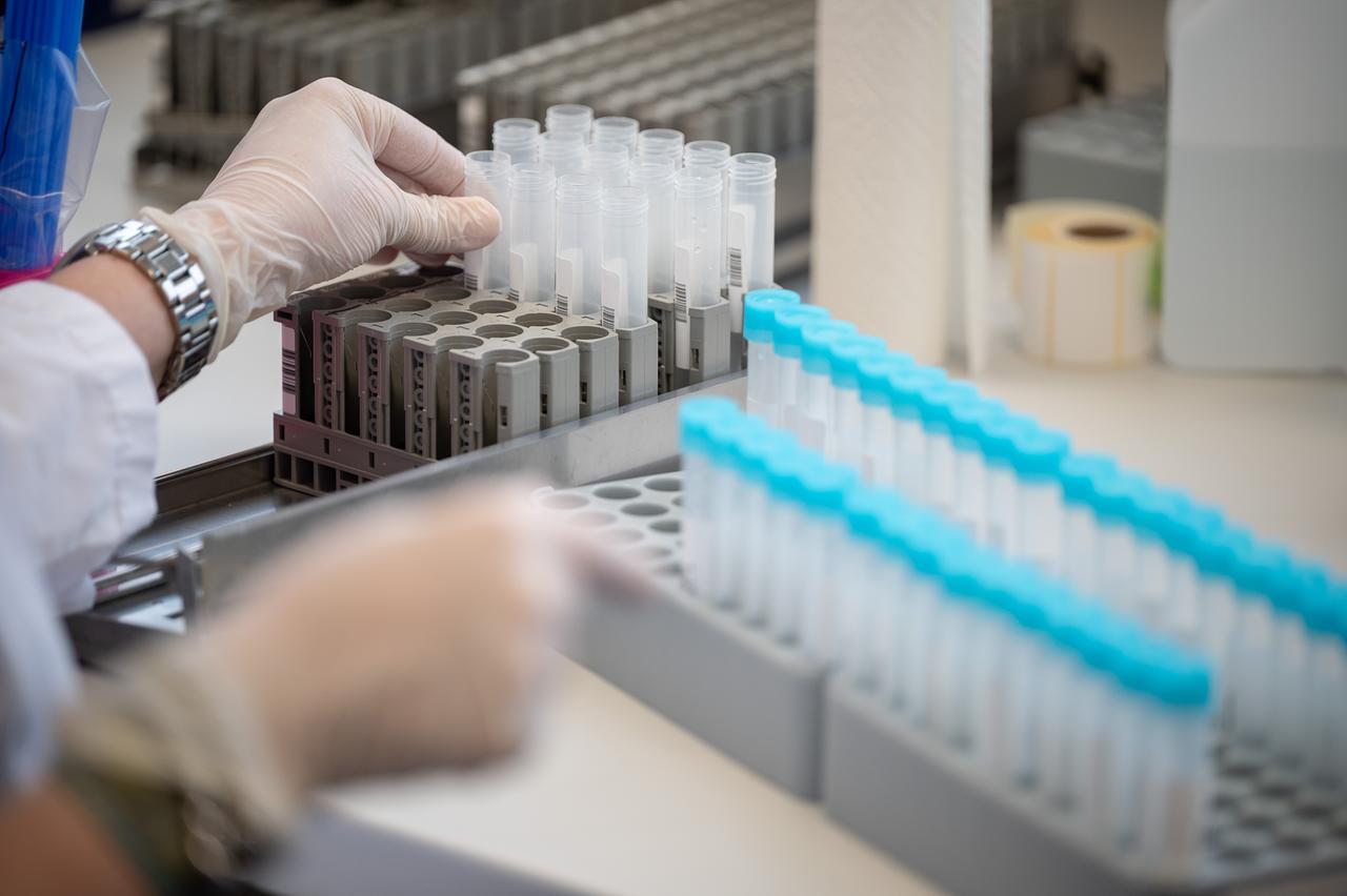 Eine Labormitarbeiterin bereitet im Bioscientia MVZ Labor Mittelhessen Teströhrchen für einen PCR-Test vor.