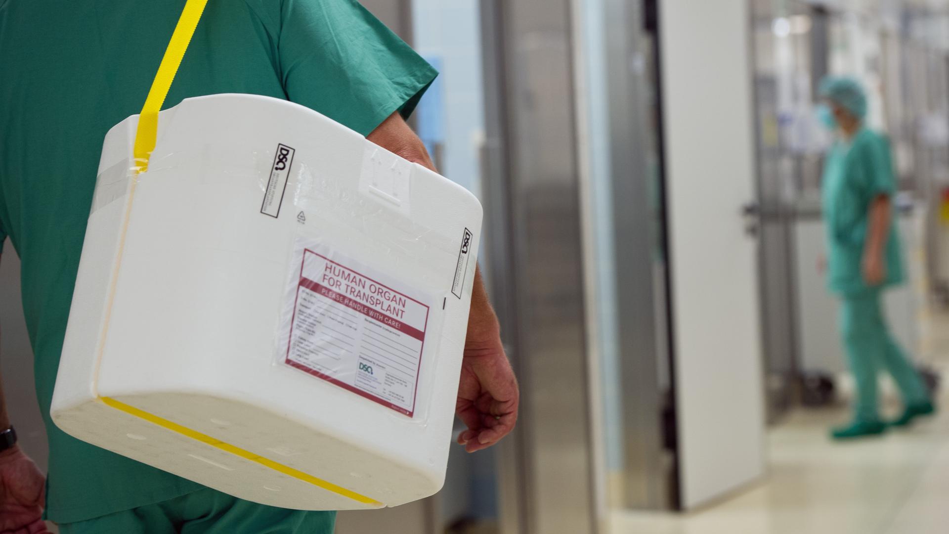 Ein Styropor-Behälter zum Transport von zur Transplantation vorgesehenen Organen wird an einem OP-Saal vorbei getragen.