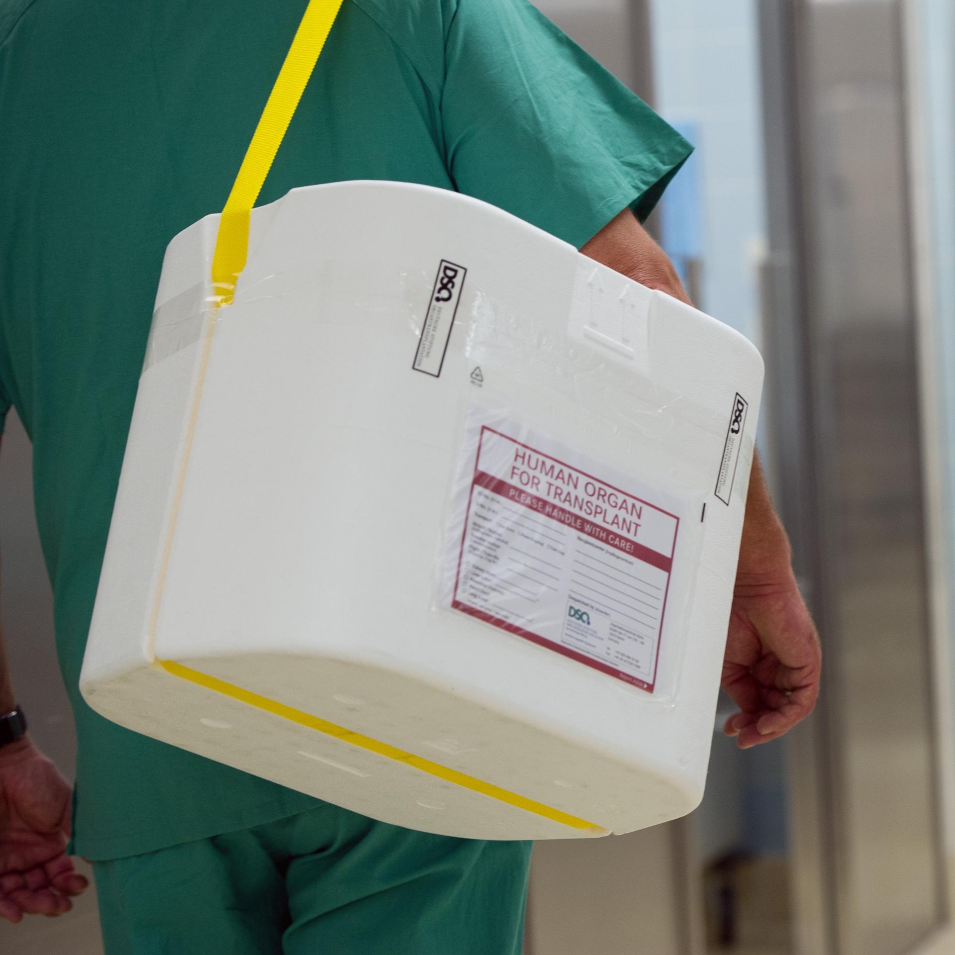 Ein Styropor-Behälter zum Transport von zur Transplantation vorgesehenen Organen wird an einem OP-Saal vorbei getragen.