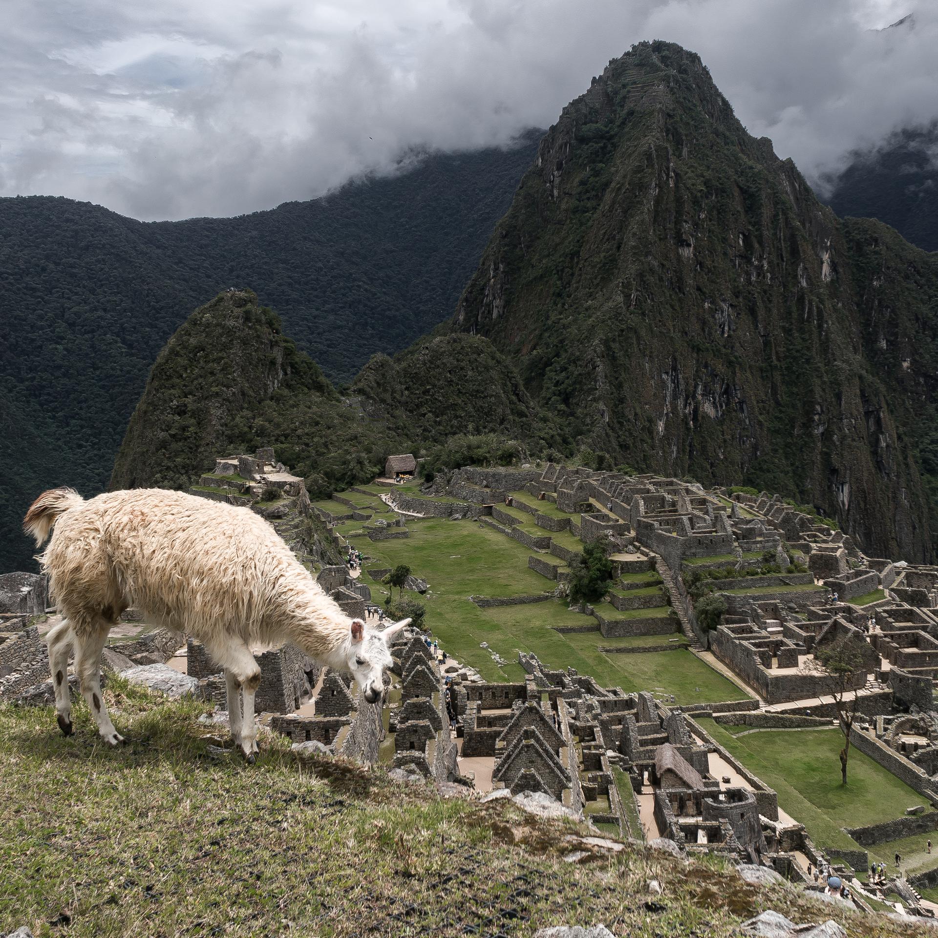 Machu Picchu und Bucket List - Vom Drang, Erlebnisse zu sammeln - podcast episode cover