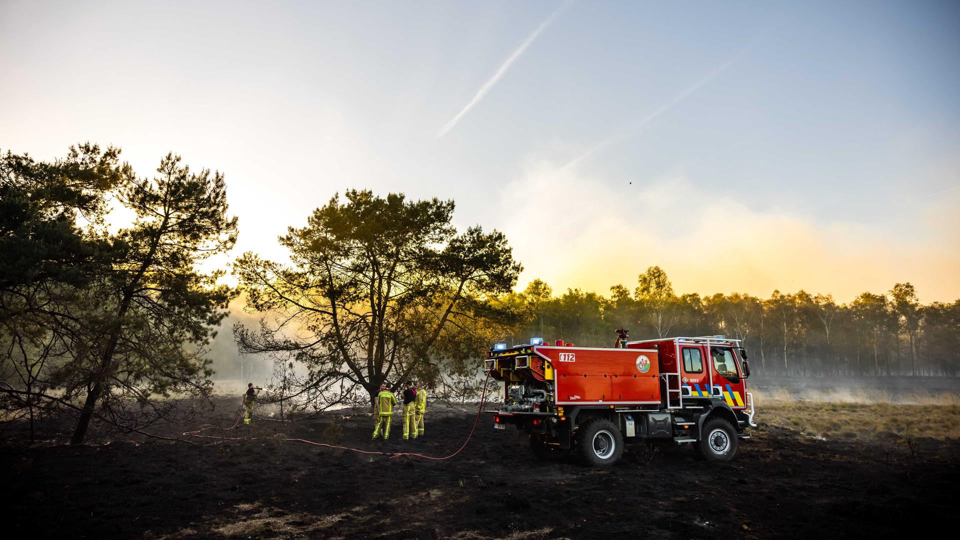 Belgische Feuerwehrleute im Einsatz in Weerterheide (Limburg). Das Feuer wütet auf einem militärischen Übungsgelände. 