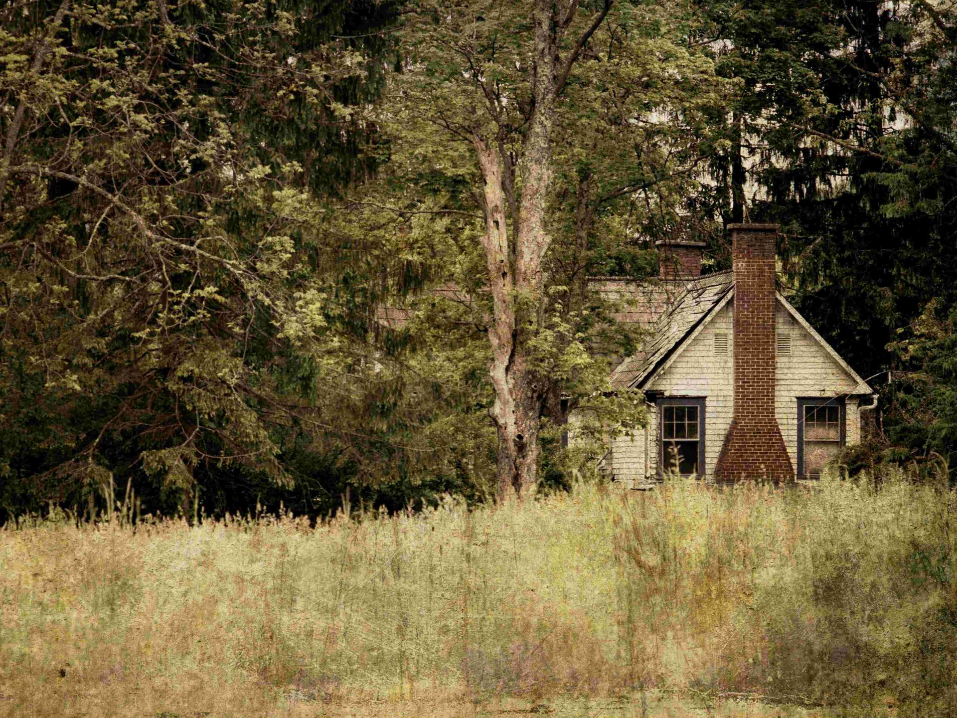 Ein älteres Haus am Waldrand mit einer Wiese davor