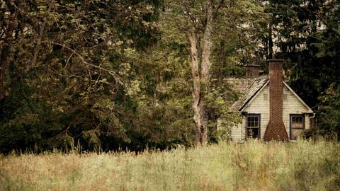 Ein älteres Haus am Waldrand mit einer Wiese davor Ein älteres Haus am Waldrand mit einer Wiese davor