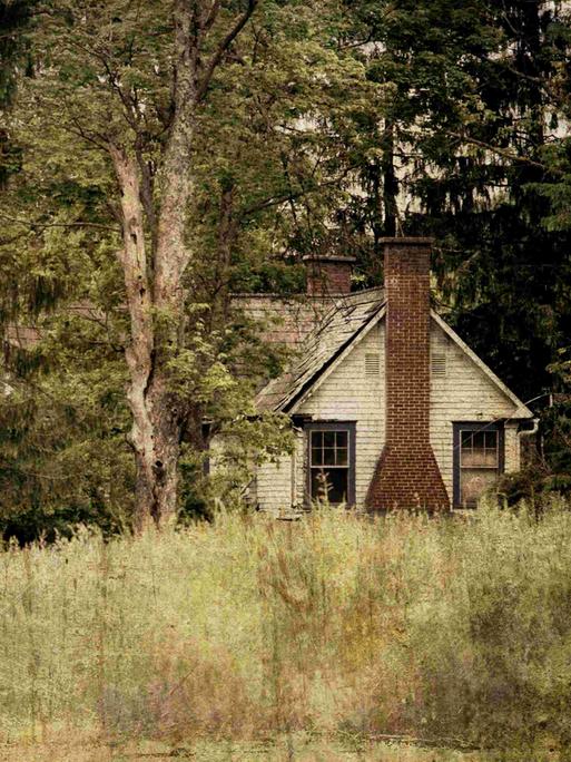 Ein älteres Haus am Waldrand mit einer Wiese davor