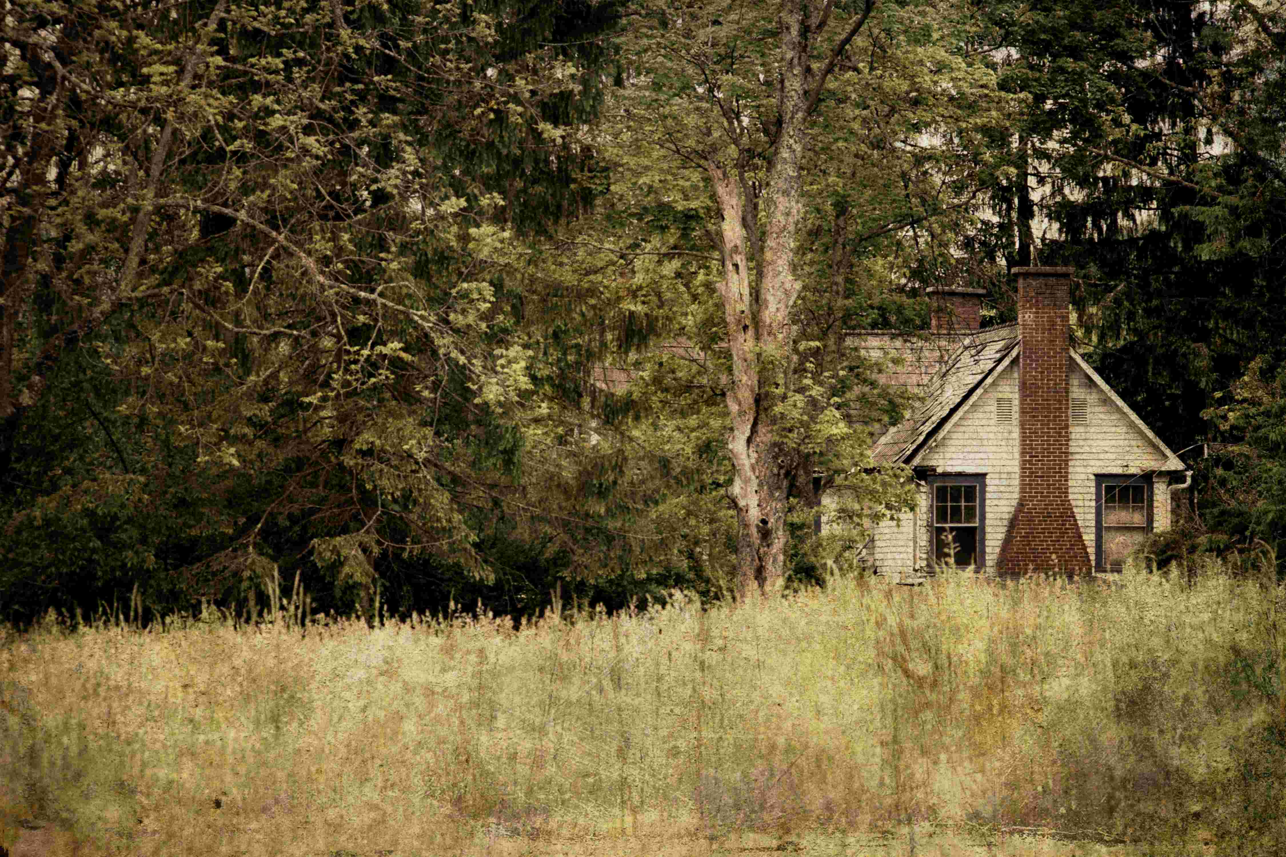 Ein älteres Haus am Waldrand mit einer Wiese davor