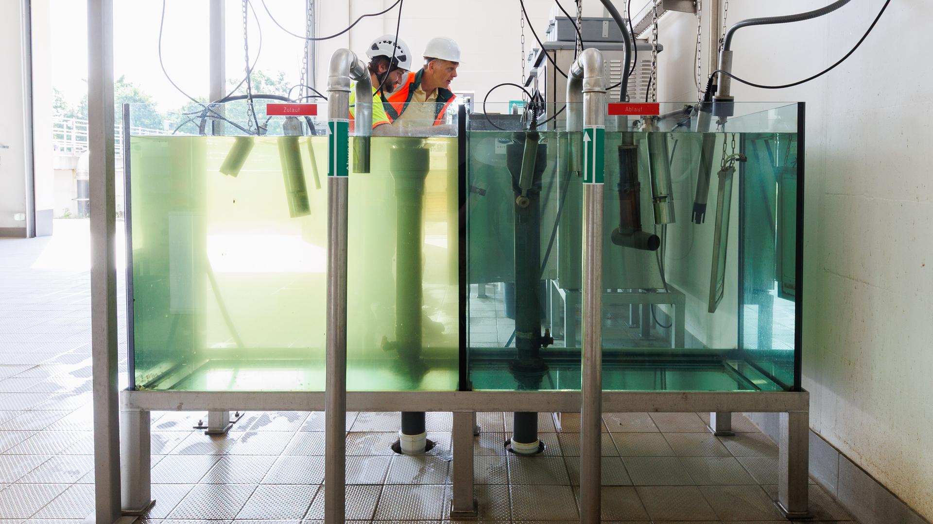 Links ist das Wasser nach der üblichen Reinigung zu sehen. Rechts ist das Wasser nach der vierten Reinigungsstufe deutlich klarer in der Kläranlage von Mörfelden-Walldorf.