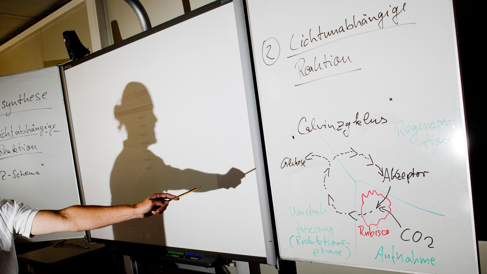 Hand und Schattenwurf eines Lehrers vor Smartboard im Biologieunterricht