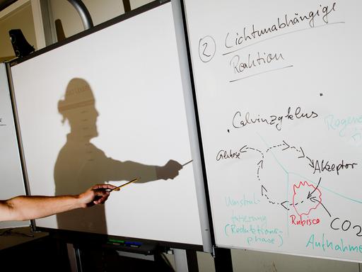 Hand und Schattenwurf eines Lehrers vor Smartboard im Biologieunterricht