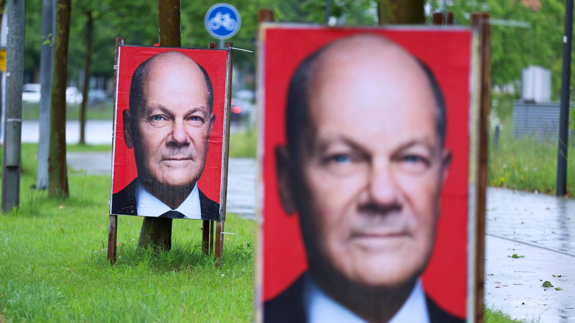 Zwei Wahlplakate der SPD mit dem Porträt von Bundeskanzler Olaf Scholz vor einem roten Hintergrund stehen an zwei dünnen Baumstämmen.