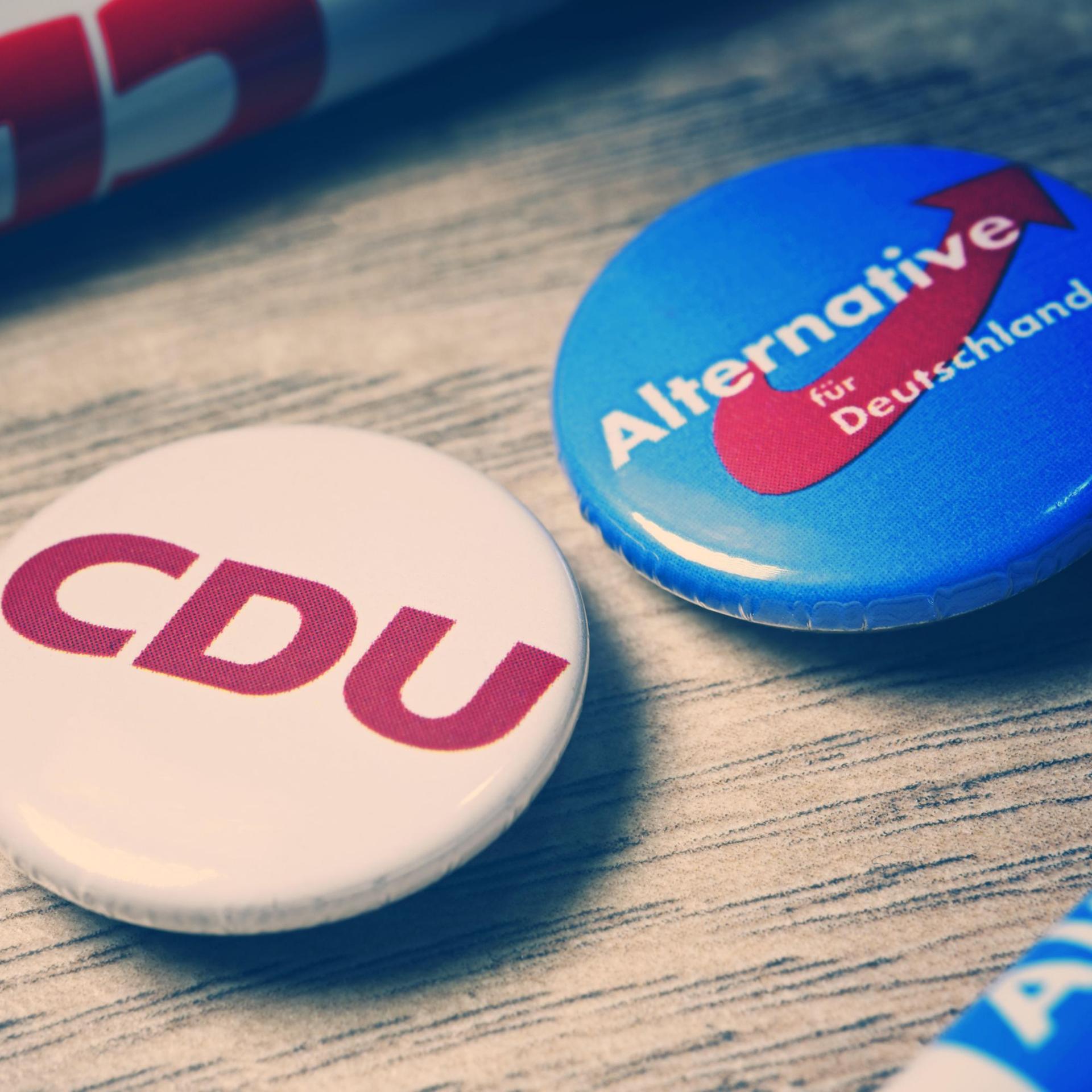 Sachsen-Anhalt - Sozialpsychologin: Eine AfD-Regierung hätte bundesweite Folgen